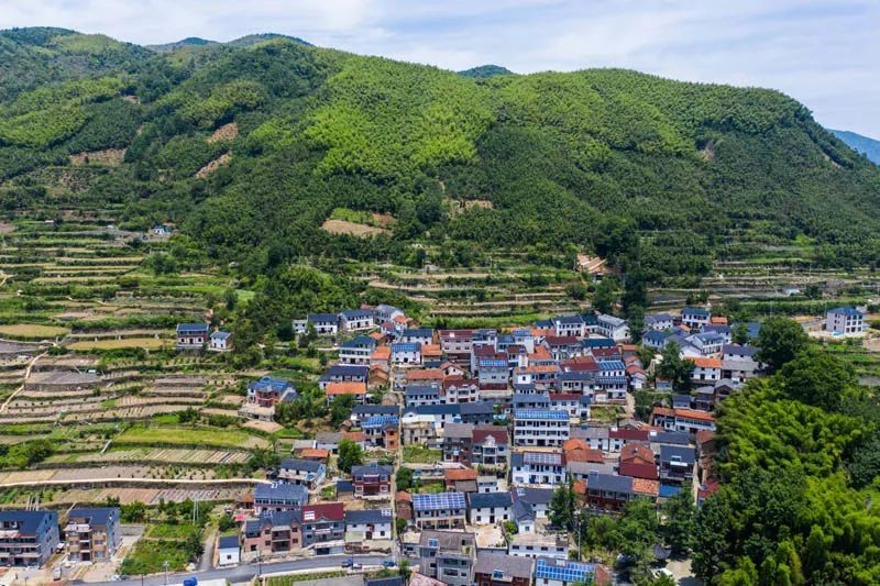 老鄉(xiāng)！別錯過今年這些惠農(nóng)好政策