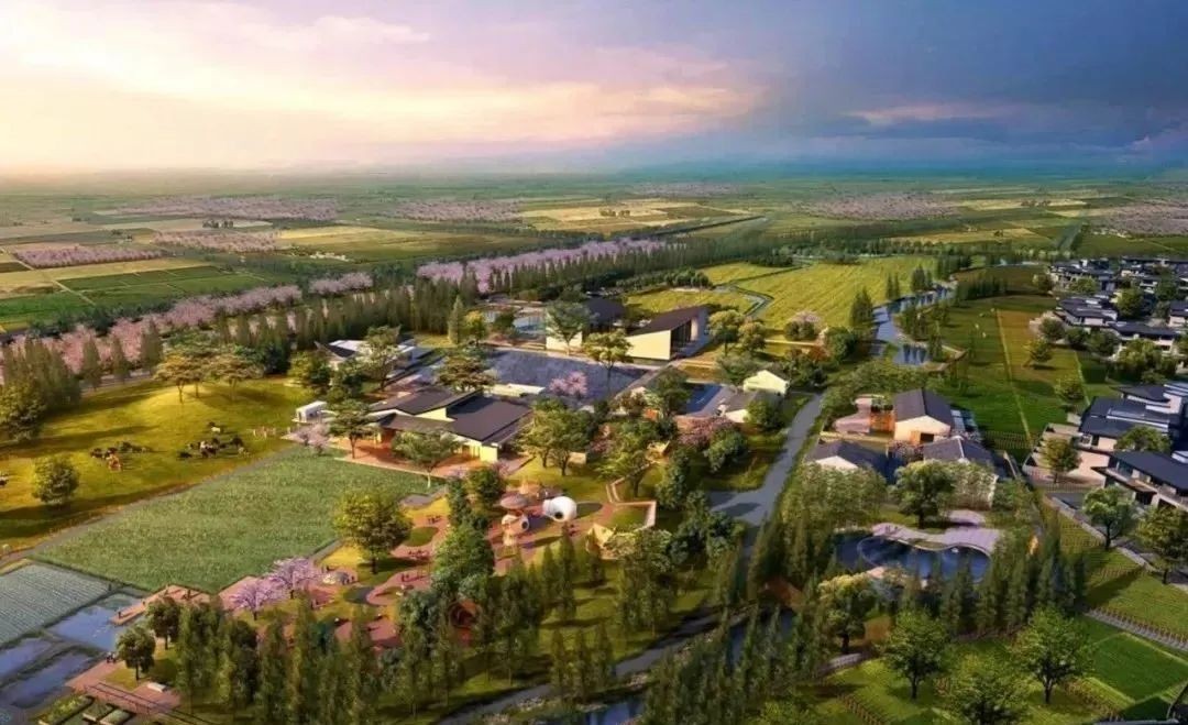 全文！鄉(xiāng)村建設(shè)行動實施方案