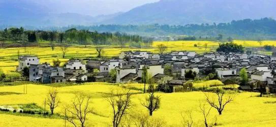 國(guó)務(wù)院總理李強(qiáng)：全面推進(jìn)鄉(xiāng)村振興要關(guān)注三個(gè)關(guān)鍵詞